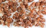 Lot: Small Twinned Aragonite Crystals - Pieces #78109-2